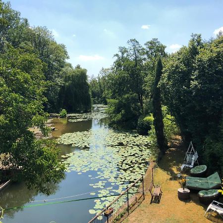 Magnifique Moulin Proche Chablis, Jacuzzi Et Riviere Villa Annay-sur-Serein Ngoại thất bức ảnh