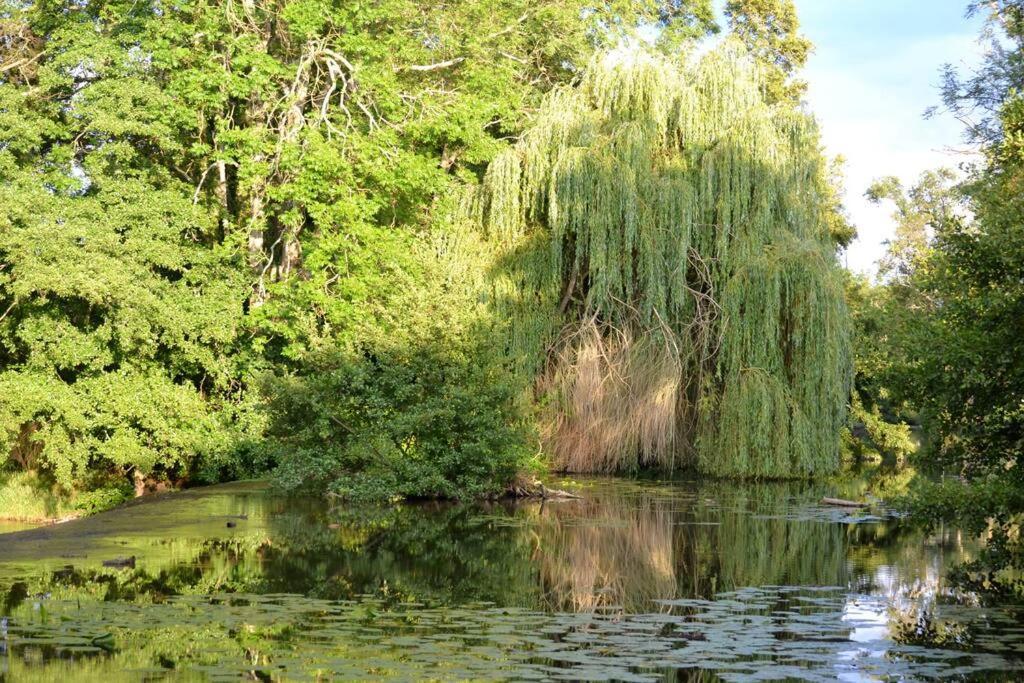 Magnifique Moulin Proche Chablis, Jacuzzi Et Riviere Villa Annay-sur-Serein Ngoại thất bức ảnh