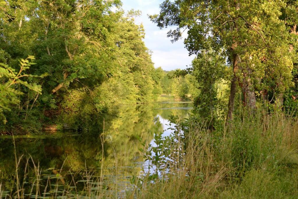 Magnifique Moulin Proche Chablis, Jacuzzi Et Riviere Villa Annay-sur-Serein Ngoại thất bức ảnh